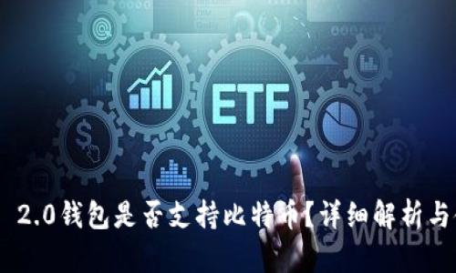 Tokenim 2.0钱包是否支持比特币？详细解析与使用指南