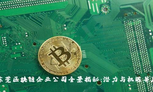 东莞区块链企业公司全景揭秘：潜力与机遇并存