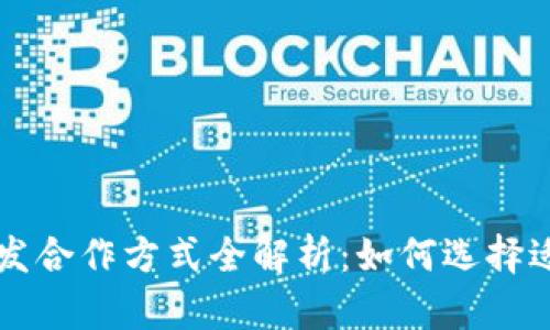 区块链开发合作方式全解析：如何选择适合的模式